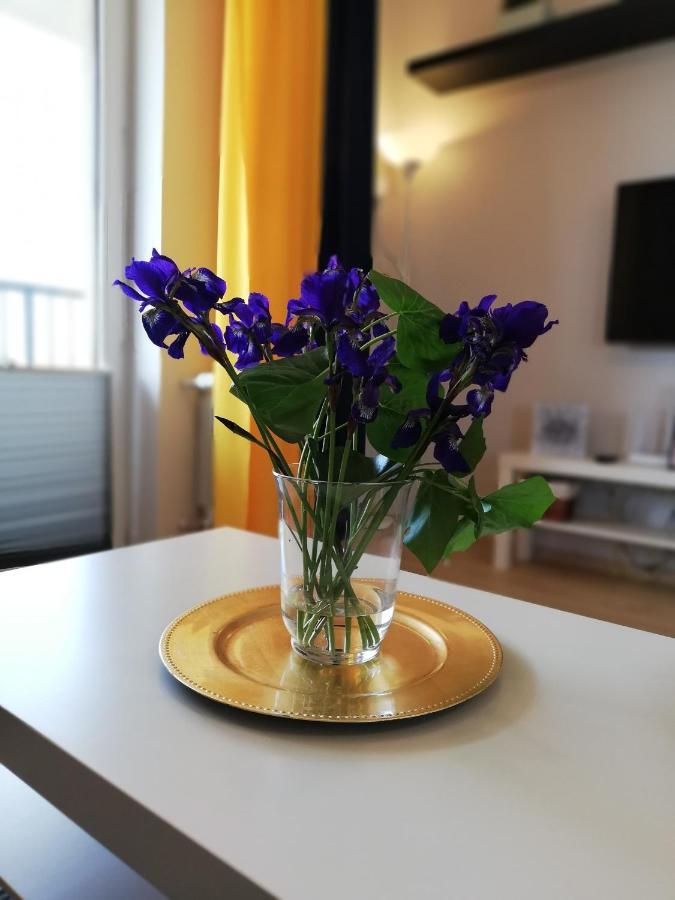 Froja Apartment Zator